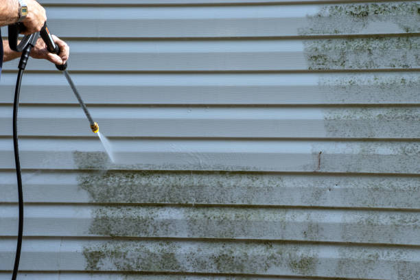 Best Siding Maintenance  in Pajaro, CA