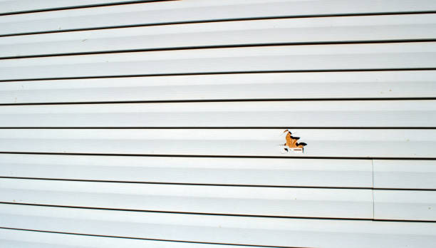 Best Insulated Siding Installation  in Pajaro, CA